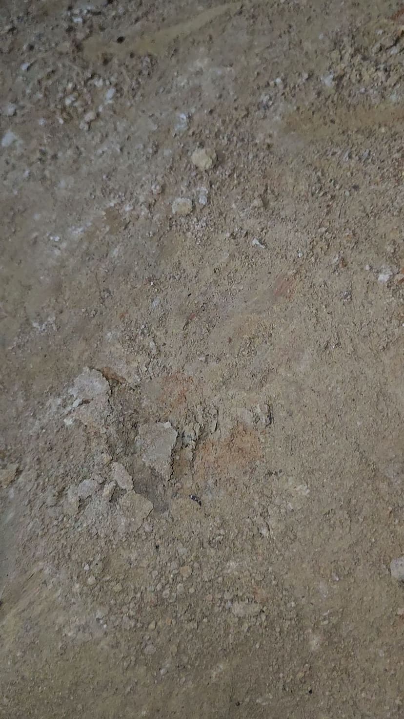 Commitment to Excellence's image