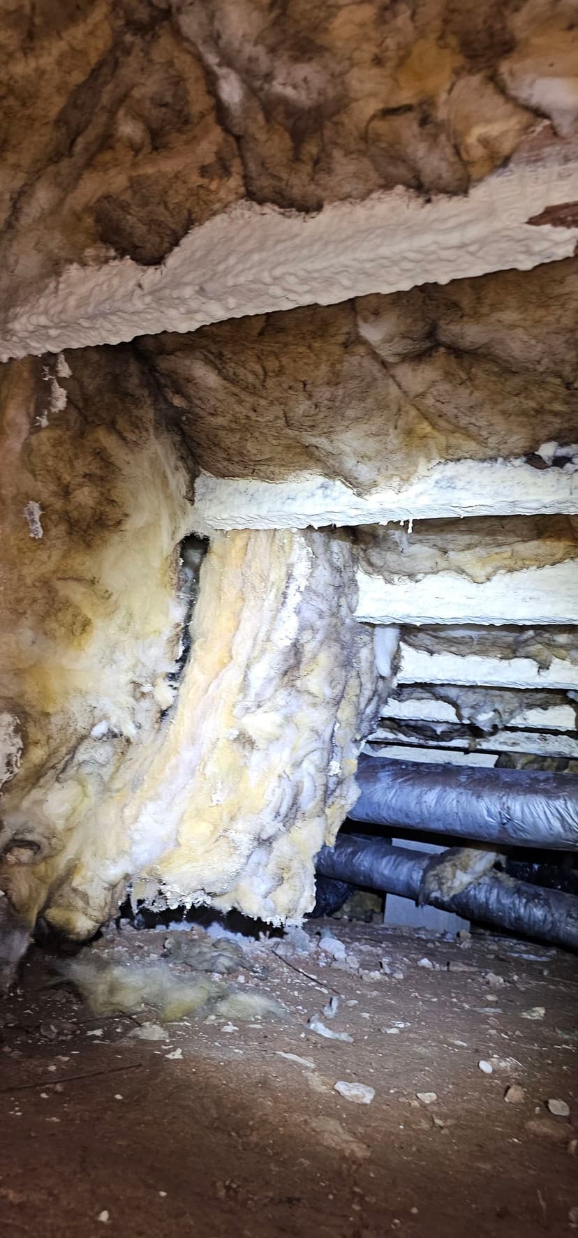 Outstanding Client Support's image